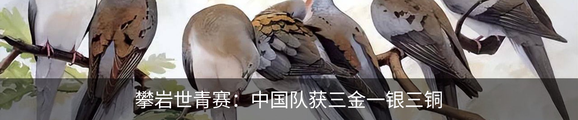 行业资讯