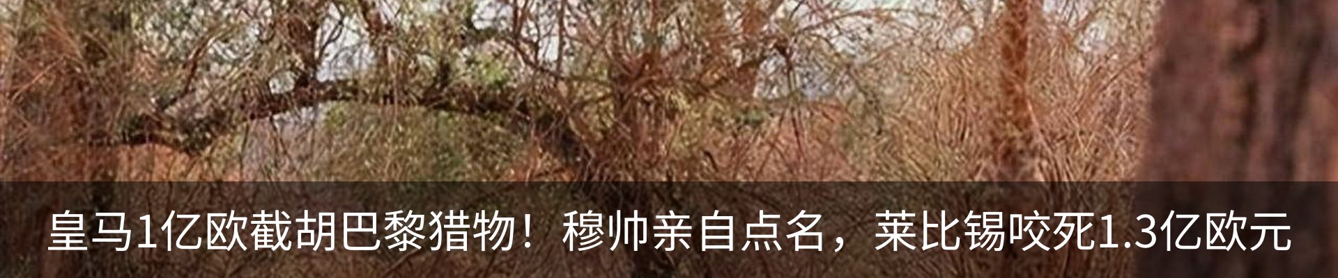 行业资讯