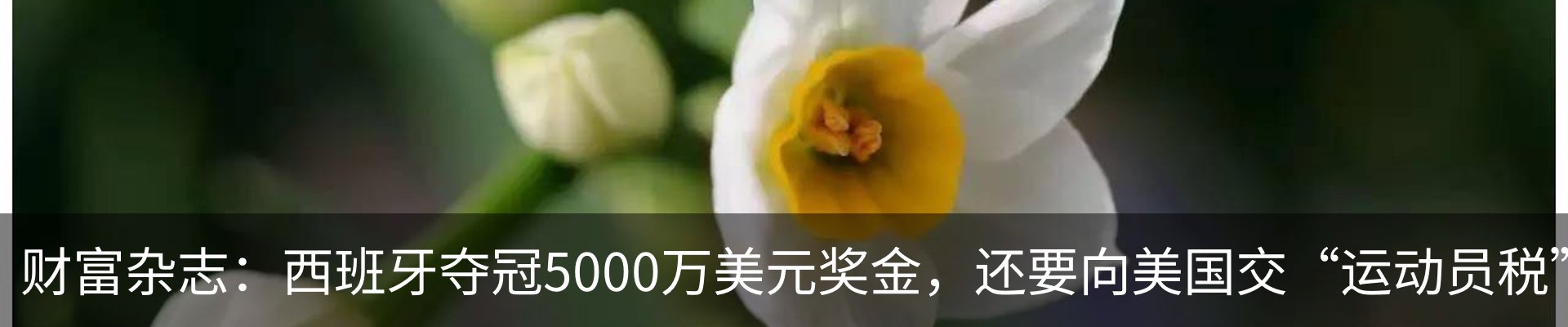行业资讯
