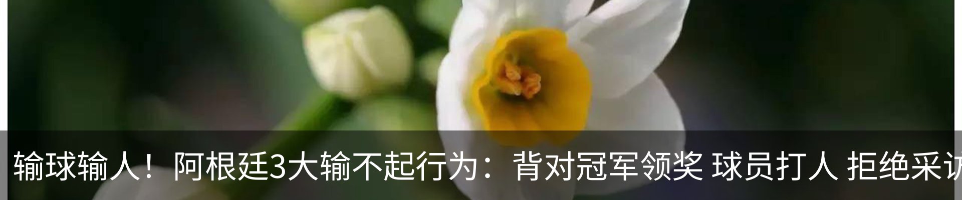 行业资讯